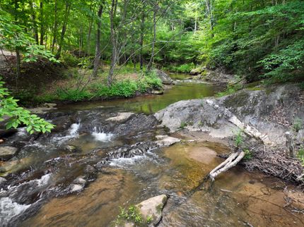 Hunting Land in Patrick County, Virginia