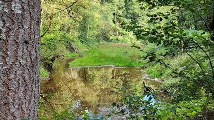 Residential Property for sale in Multnomah County, Oregon