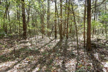 Farm Property in Sainte Genevieve County, Missouri