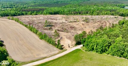Timberland Property in Tippah County, Mississippi