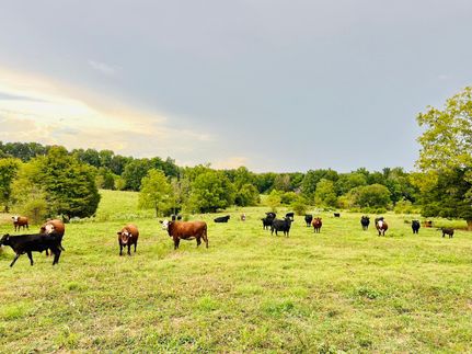 Property in Grayson County, Kentucky