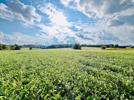 Property in Grayson County, Kentucky