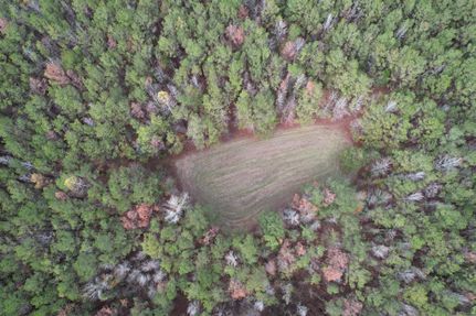 Recreational Property in Monroe County, Alabama