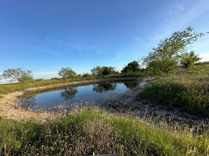 Undeveloped Land for sale in Hamilton County, Texas