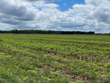 Property for sale in Escambia County, Florida