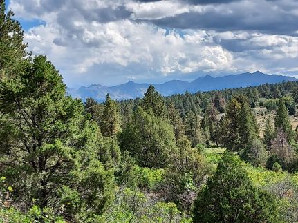 Hunting Land for sale in Ouray County, Colorado