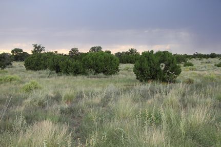 Property for sale in Apache County, Arizona