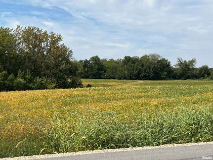 Commercial Property in Scott County, Iowa