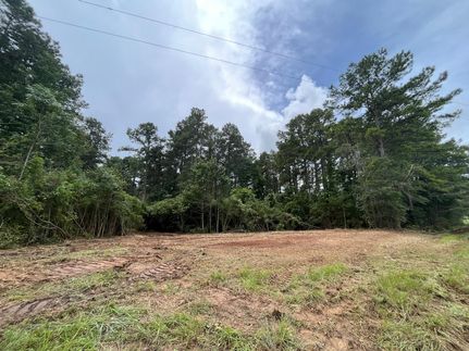 Timberland Property in Pike County, Mississippi