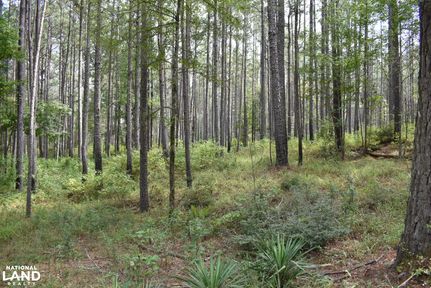 Farm Property in Wilkinson County, Mississippi