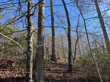 Ranch Property in Bedford County, Virginia