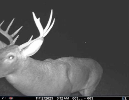 Farm Property in Bollinger County, Missouri