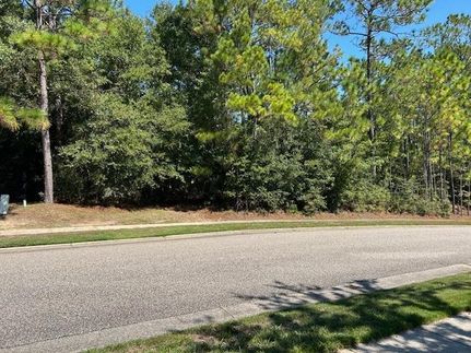 Residential Property in Baldwin County, Alabama
