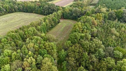 Undeveloped Land in Ballard County, Kentucky