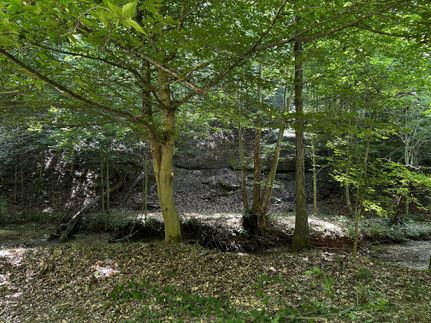 Undeveloped Land in Gallia County, Ohio