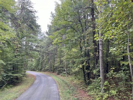 Hunting Land in Charlotte County, Virginia