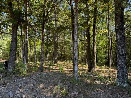 Farm Property for sale in Hardeman County, Tennessee