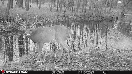 Property in Hopkins County, Kentucky