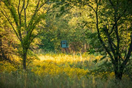 Undeveloped Land in Vernon County, Missouri
