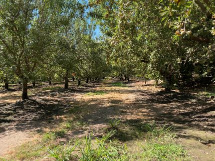 Property in San Joaquin County, California