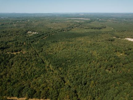 Hunting Land in Hot Spring County, Arkansas