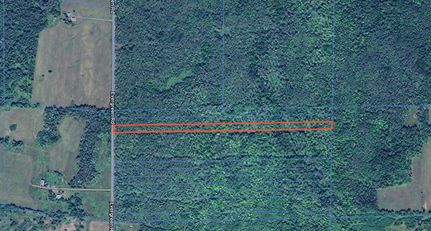 Timberland Property in Bayfield County, Wisconsin