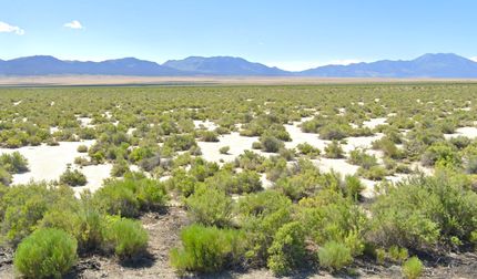 Property in Elko County, Nevada
