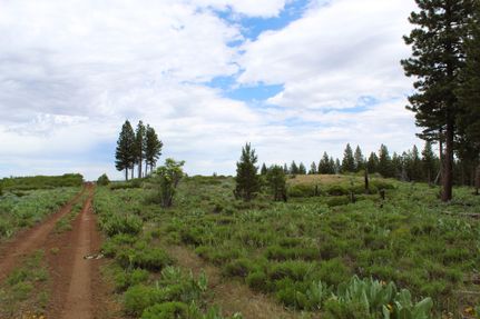Recreational Property in Modoc County, California