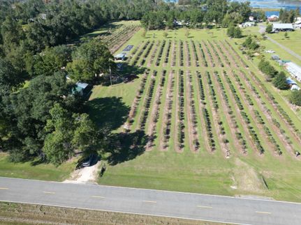 Ranch Property in Jackson County, Florida