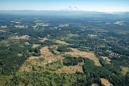 Waterfront Property in Thurston County, Washington