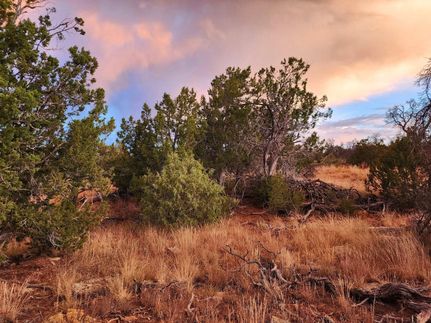 Ranch Property for sale in Cibola County, New Mexico