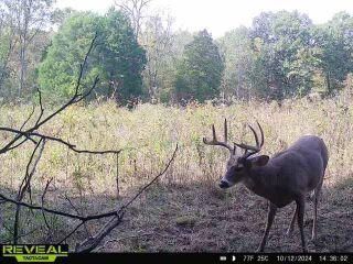 Property in Grayson County, Kentucky