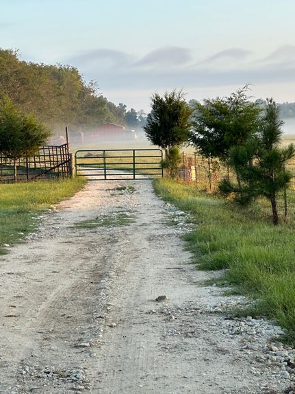 Property in Houston County, Texas