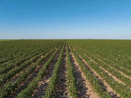 Residential Property in Jones County, Texas