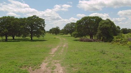 Ranch Property in Callahan County, Texas