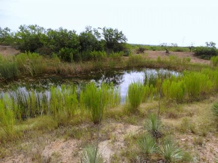 Ranch Property in Coleman County, Texas