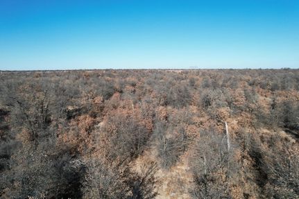 Hunting Land in Jones County, Texas