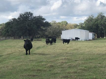 Farm Property in Colorado County, Texas
