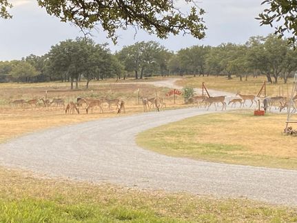 Hunting Land in Brown County, Texas