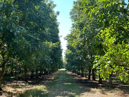 Property for sale in Tehama County, California