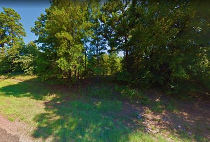 Undeveloped Land in Marion County, Texas