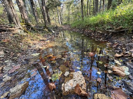 Residential Property in Ozark County, Missouri