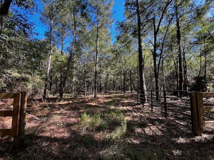 Property in Bamberg County, South Carolina
