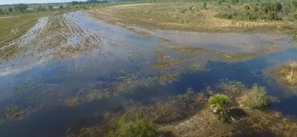 Farm Property in Polk County, Florida