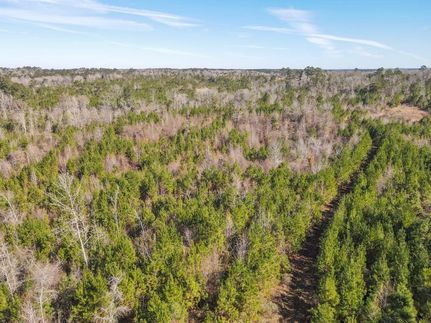 Farm Property in Wilkinson County, Mississippi