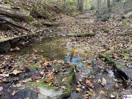 Ranch Property in Grayson County, Kentucky