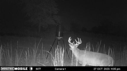 Waterfront Property in Grady County, Georgia