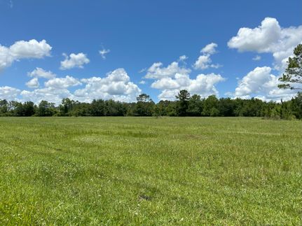 Farm Property in Marion County, Florida