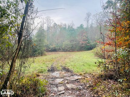 Timberland Property in Tuscaloosa County, Alabama