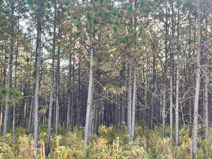 Recreational Property for sale in Lincoln County, Mississippi